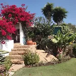 Orchidea Terrace * Malveira da Serra