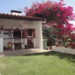 Orchidea Terrace