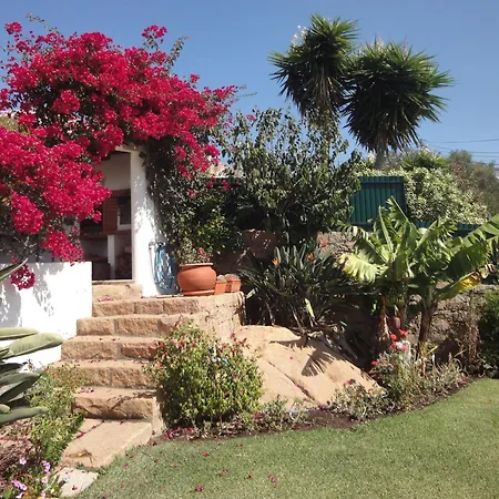 Orchidea Terrace * Malveira da Serra