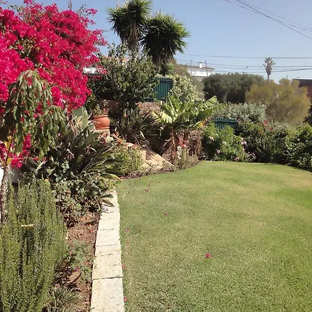 Orchidea Terrace Holiday home