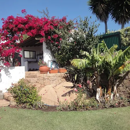 Orchidea Terrace