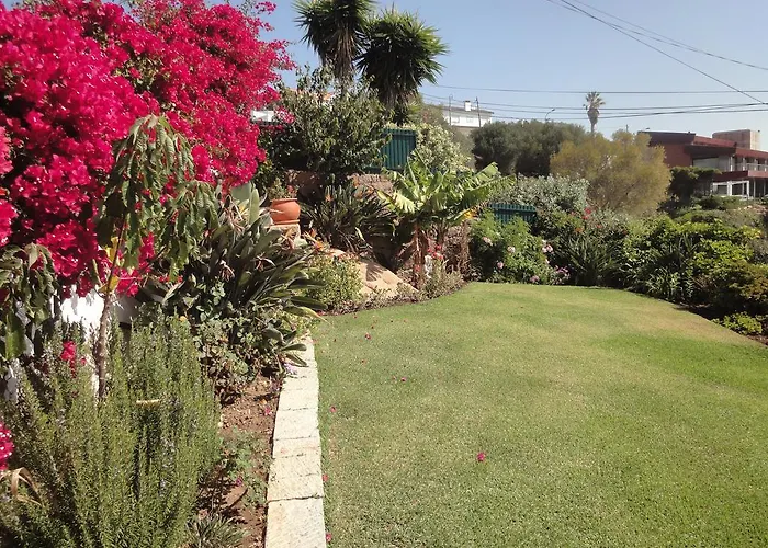 Orchidea Terrace בית נופש