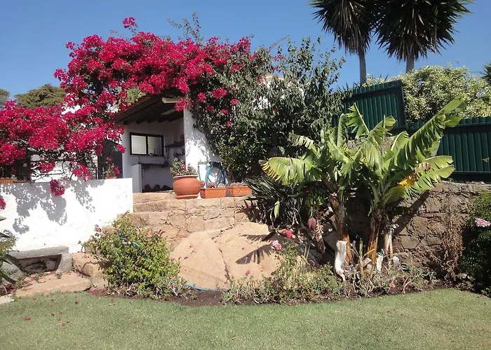 Orchidea Terrace