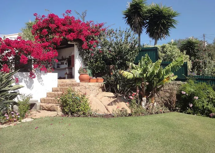 Vakantiehuis Orchidea Terrace Malveira da Serra