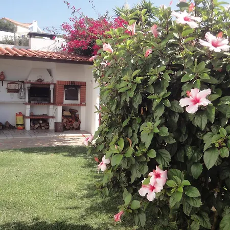 Orchidea Terrace Holiday home