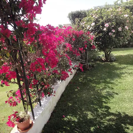 Orchidea Terrace Holiday home *