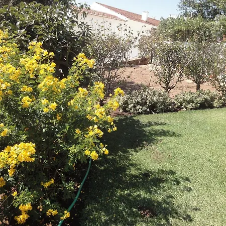 Holiday home Orchidea Terrace *
